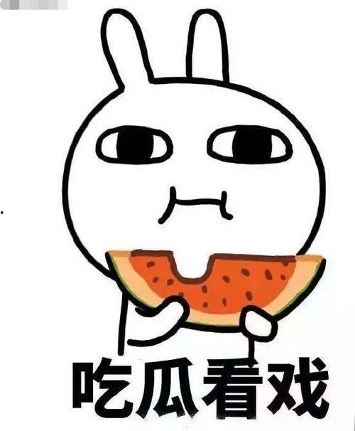 吃瓜疑团,探寻事件背后的真相与谜团