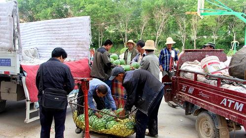 刘家庄吃瓜群众,揭秘乡村生活百态