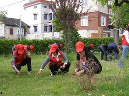 义蓬街道吃瓜,夏日炎炎，吃瓜群众欢乐多