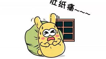 吃瓜群众532号,一场全民围观的热议事件