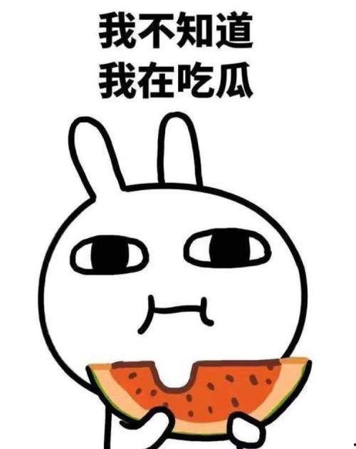 doi吃瓜视频,基于DOI的深度解析与探讨