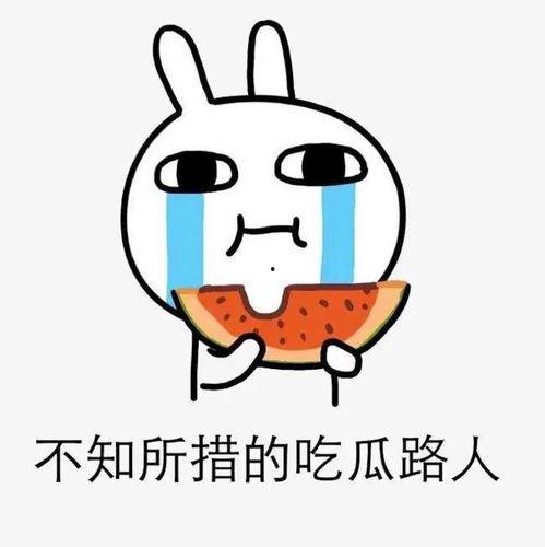 紧急吃瓜,揭秘娱乐圈最新热点事件