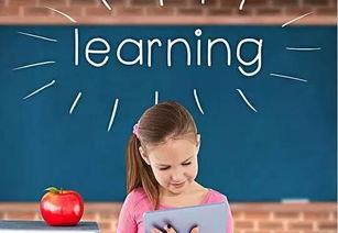 吃瓜少年爱学习,学习之路的奇妙旅程