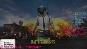 瓜老板吃鸡,一场舌尖上的冒险