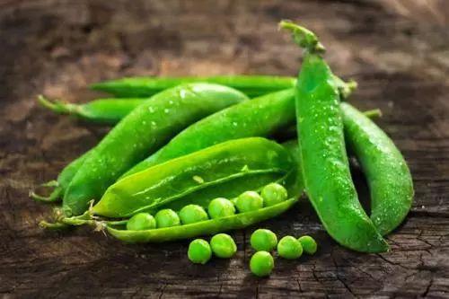 有瓜吃瓜无瓜吃豆,有瓜吃瓜，无瓜吃豆，生活随性而安