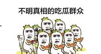 吃瓜群众 的新闻