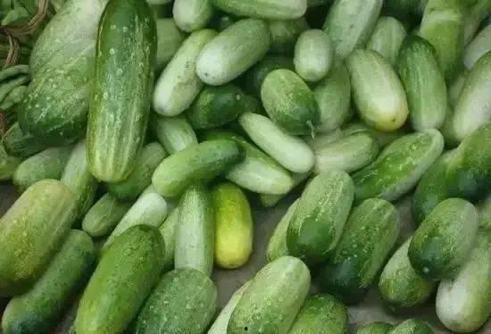 云南博主吃瓜,揭秘当地特色美食背后的故事