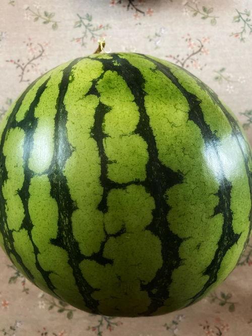 吃瓜表演视频大全,全网热门吃瓜表演视频大盘点