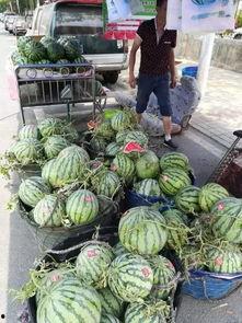 黄冈武穴吃瓜事件,一场网络舆论的风波与反思