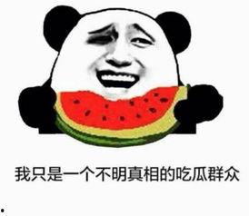 吃瓜群众喜欢看腿