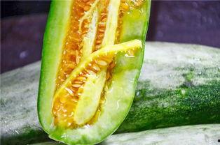 蜜瓜怎样吃